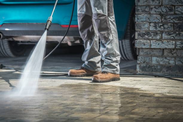 Best Warehouse Cleaning  in Lake City, MN